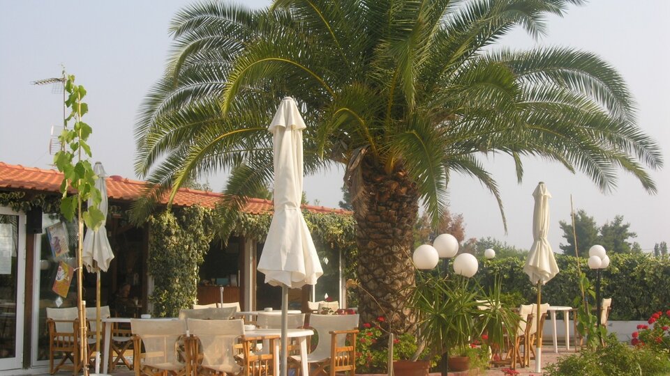 Terasa restorana